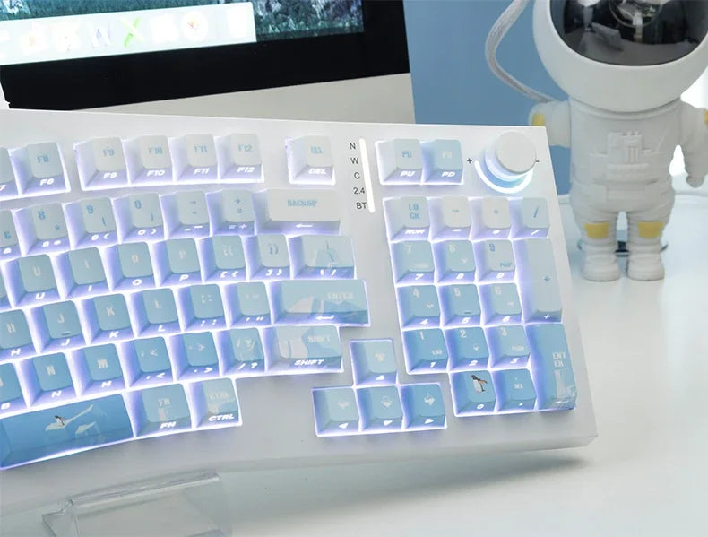 PIIFOX PBT OEM Profile Keycaps 135Keys Heat Sublimation Keycaps Ice Age Seeking Glacier Hand Painted Translucent  Key Caps